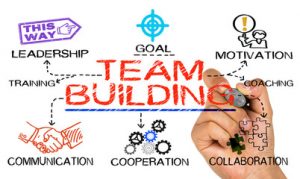 promindsolutionsplt